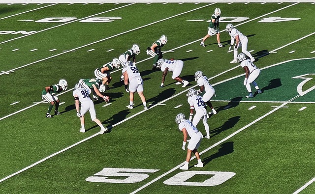 部政治之间 部政治之间